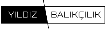 YILDIZ BALIKCILIK LOGO.png (4 KB)