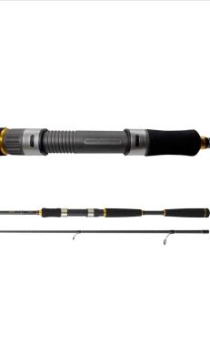 DAIWA NEW LEGALIS SEABASS 2.10M 10-35GR 2P KAMIŞ - 3