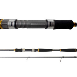 DAIWA NEW LEGALIS SEABASS 2.10M 10-35GR 2P KAMIS - 4