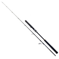 RYUJI SEAWOLF 1.68M 150-250GR 2P JIG KAMIŞ - RYUJI