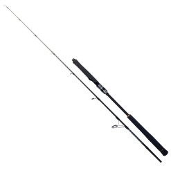 RYUJI SEAWOLF 1.98M 150-250GR 2P JIG KAMIŞ - RYUJI