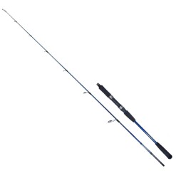 RYUJI STROBE II 1.68M 80-170GR 2P JIG KAMIŞ - RYUJI